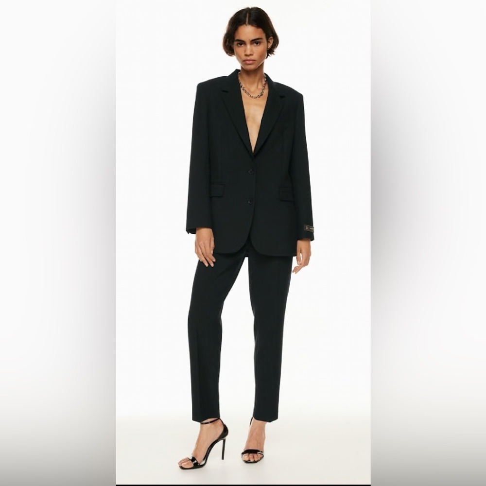 Aritzia Babaton New Agency Blazer